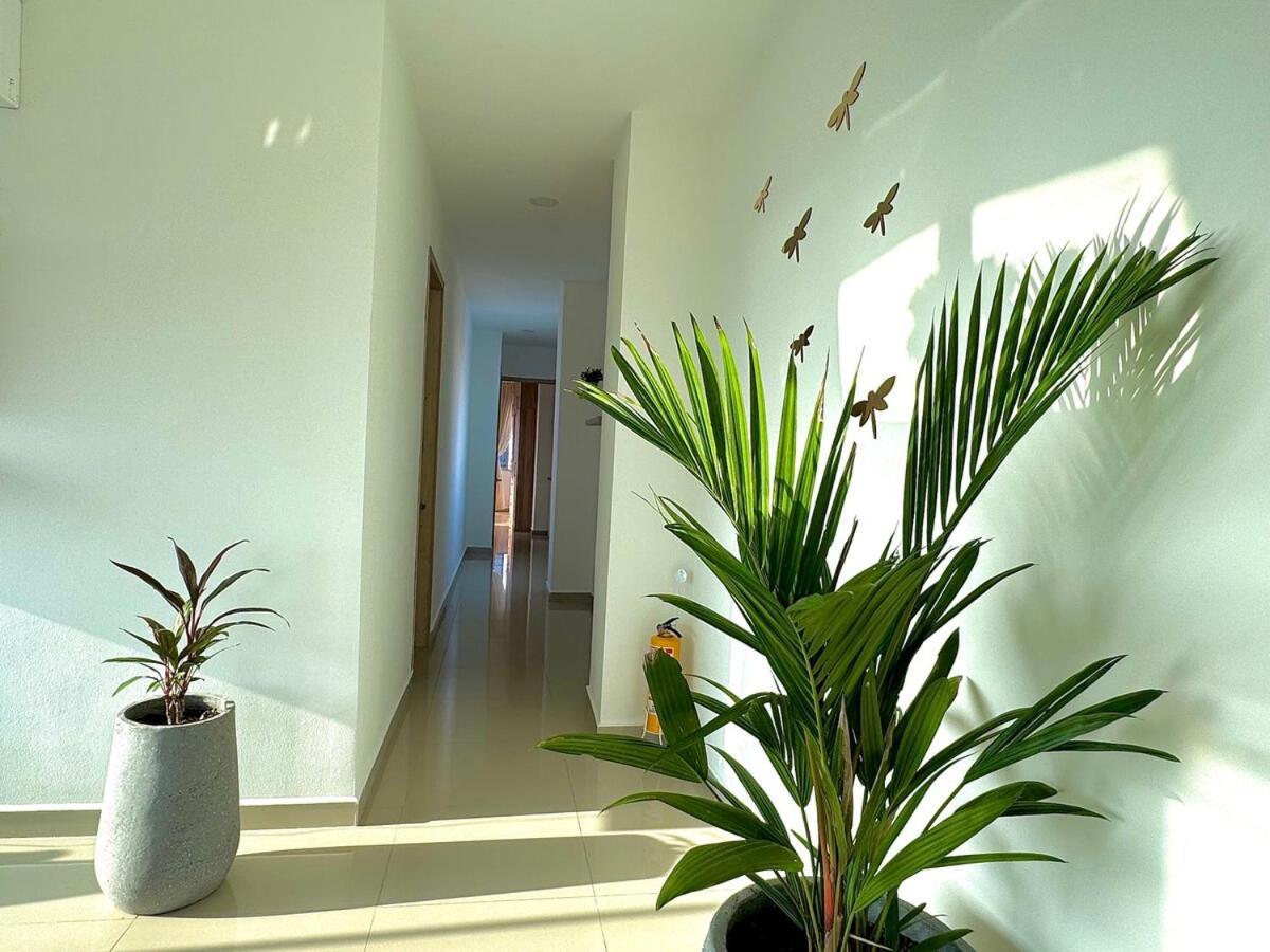 Apartamento Luxury Penthouse Cerca Al Mar Y Centro Historico *